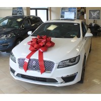 28 Inch Big Gift Car Bows