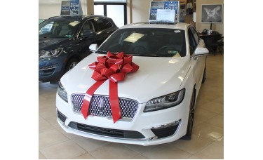 28" Big Gift Car Bow