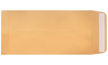 License Plate Envelopes - Blank, Self Seal, Brown Kraft (Package of 100)